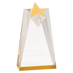 Rising Star Award - Gold