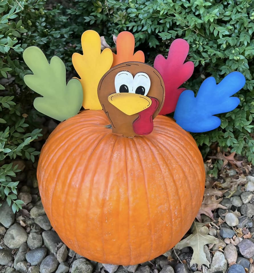 Pumpkin Turkey Kit