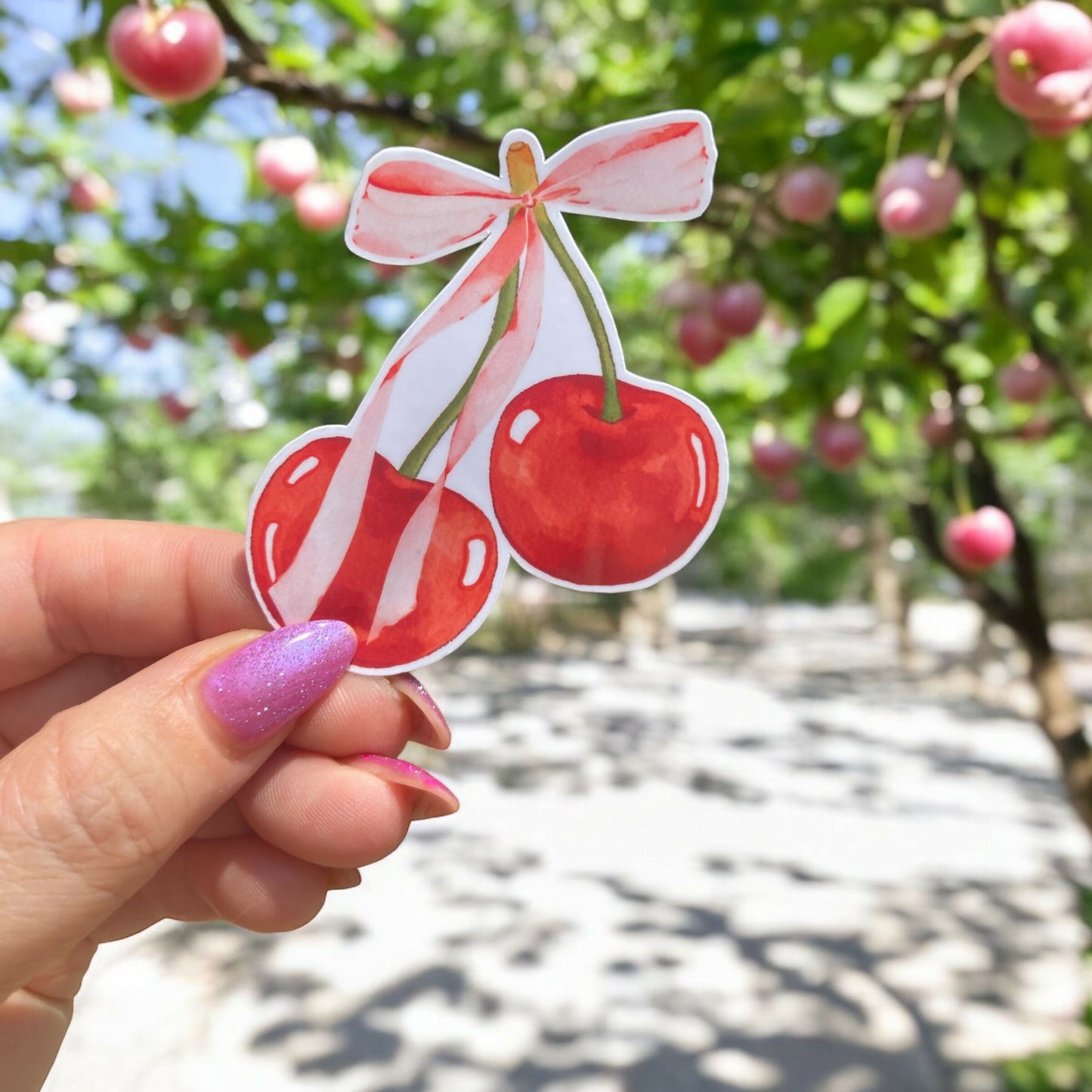Cherry Sticker