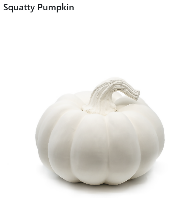 Squatty Pumpkin