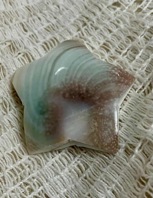 #845 Shiva shell star