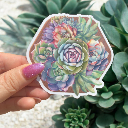 Photoroom_20240725_200012