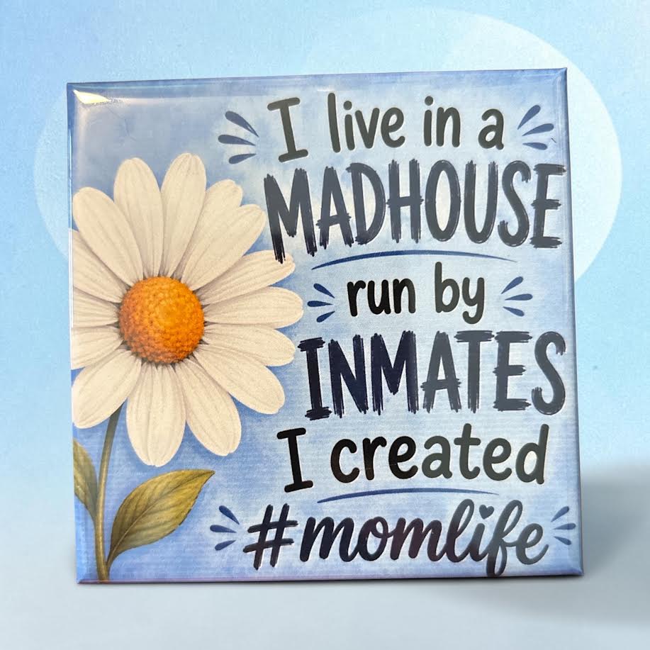 I Live In A Madhouse I Created - magnet