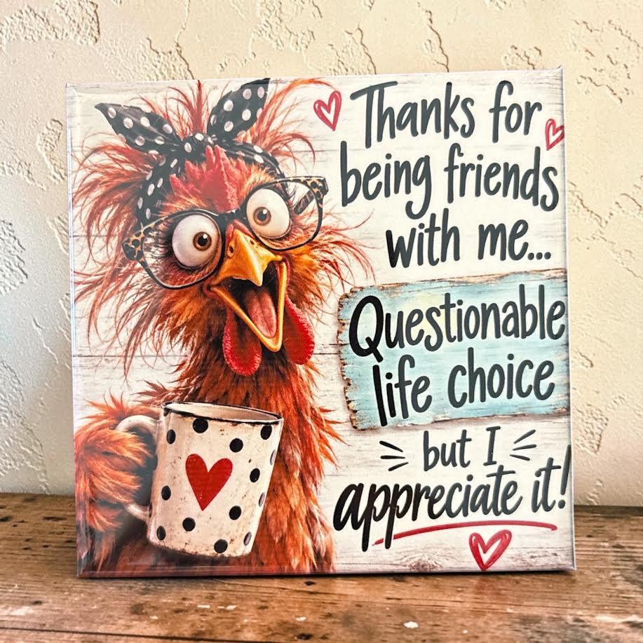 Thanks For Being Friends - magnet