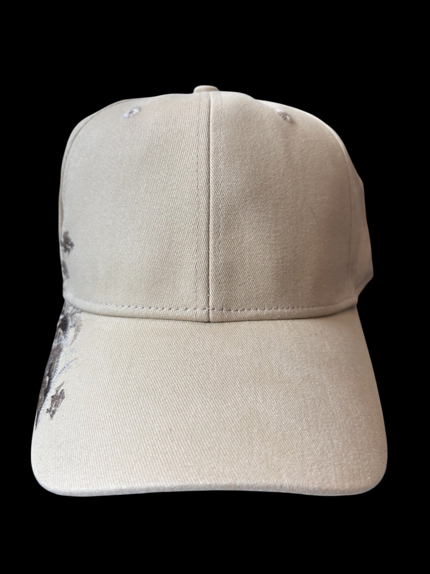 Embroidery Baseball Cap