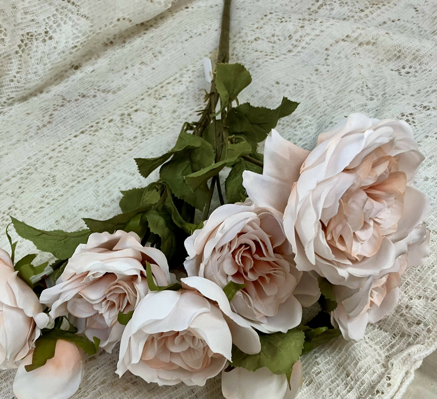 Cabbage Rose bunch #2553