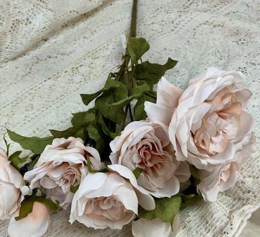Cabbage Rose bunch #2553