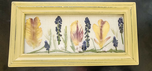 Spring Study