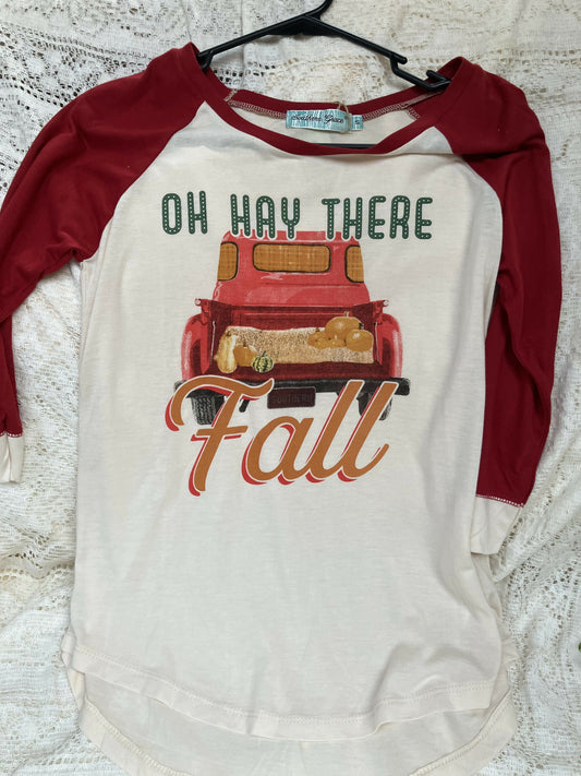 #3270 Raglan-hey there fall small