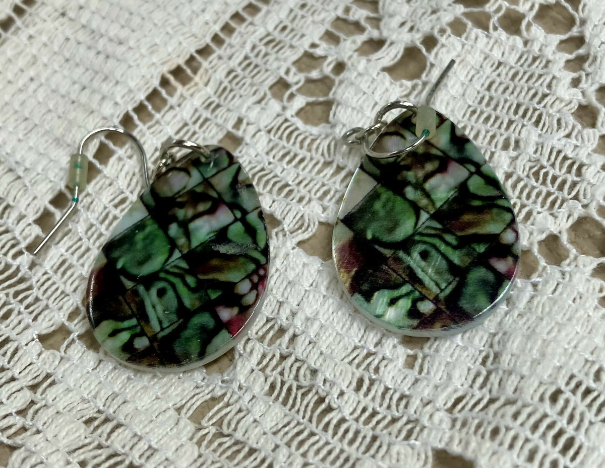#2574 Abalone Shell earrings
