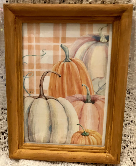 5 x 7 pumpkin picture #2914