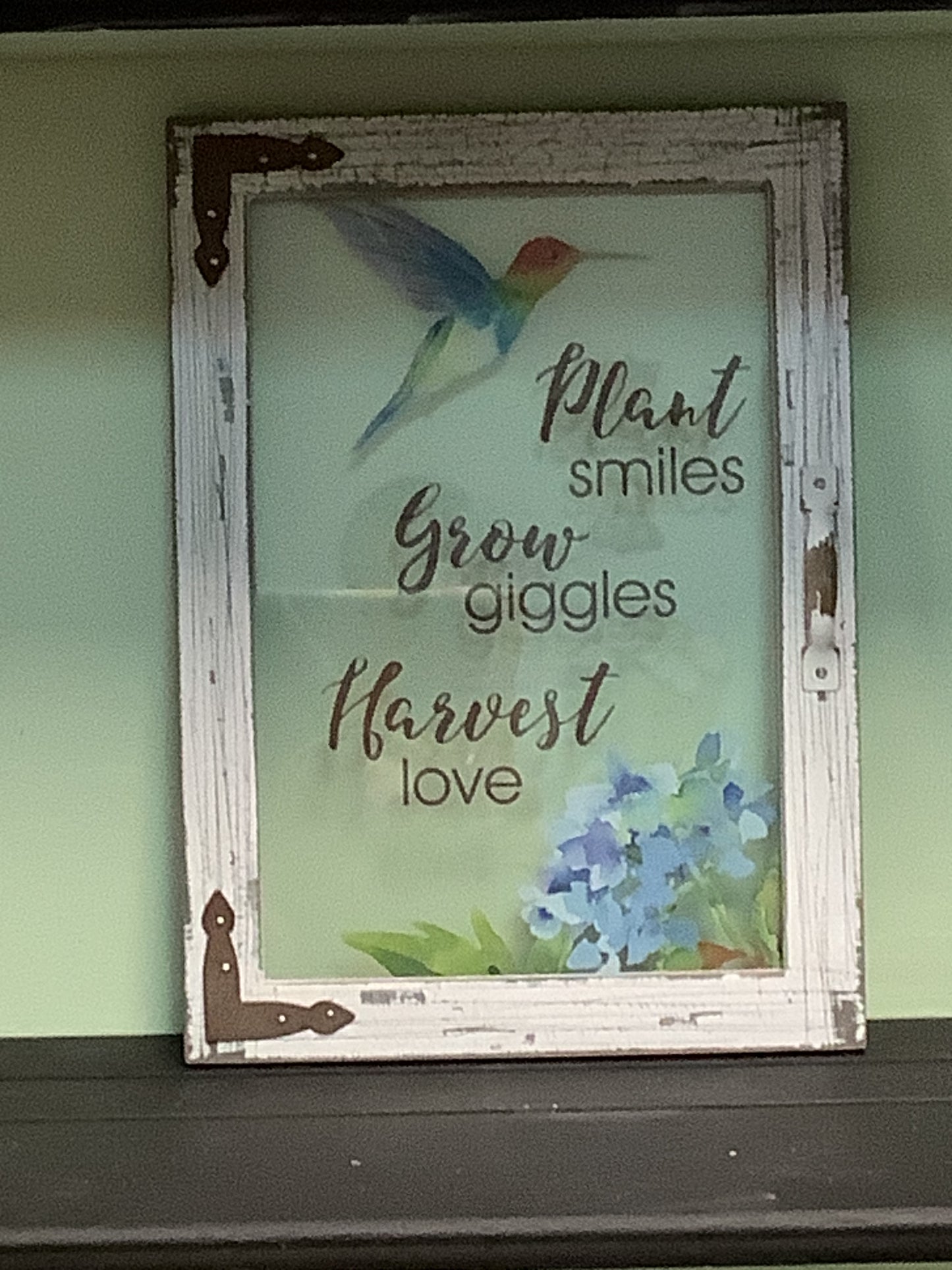 Hummingbird Window Wall Picture