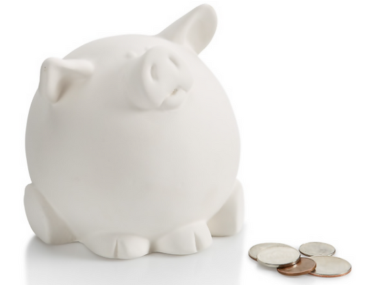 Pudgy Pig Bank