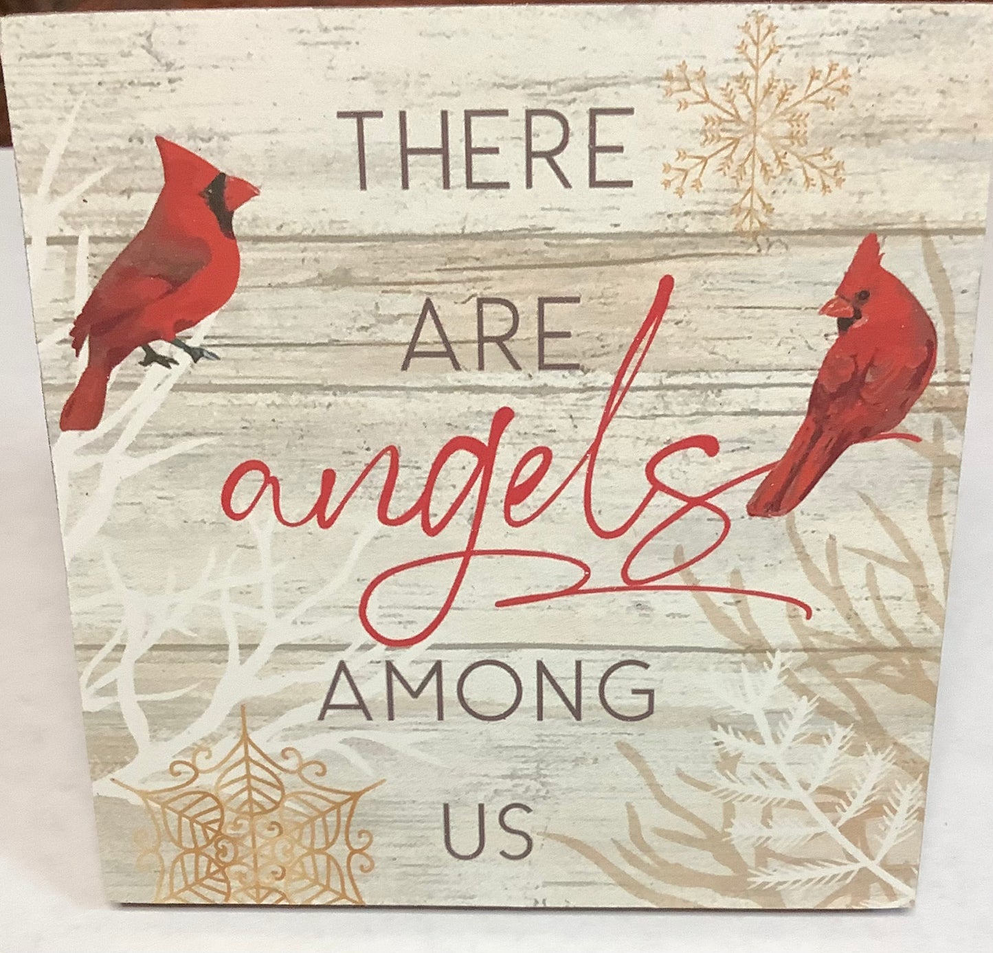 Cardinal Angels Among Us