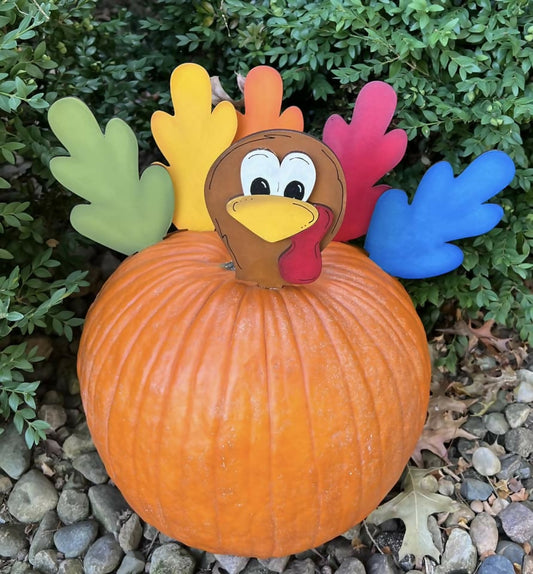 Pumpkin Turkey Kit