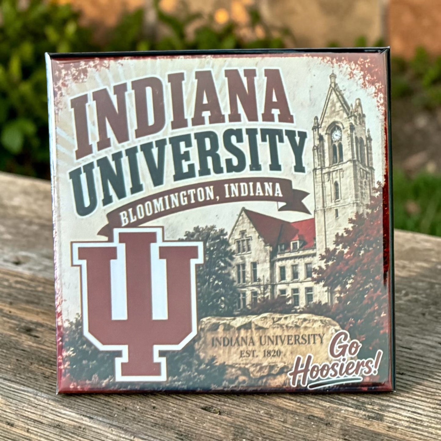 Indiana University Square Magnet
