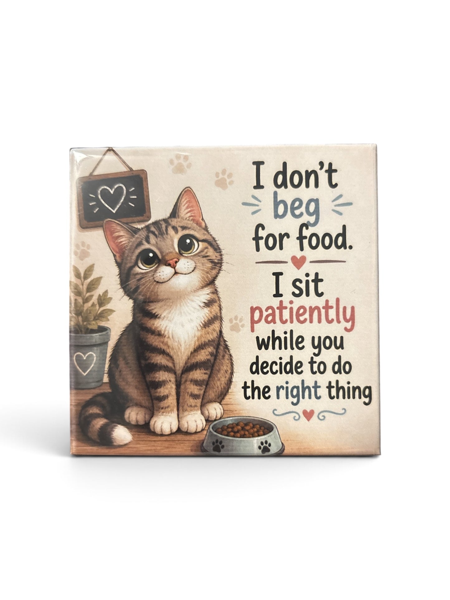 Cat I don’t beg for food - magnet