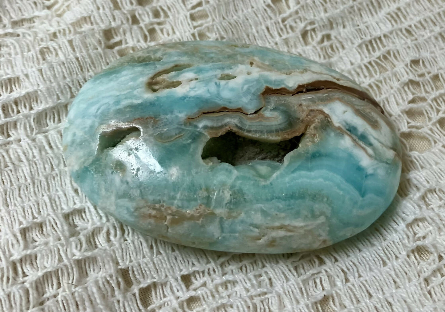 #2684 Caribbean calcite palm stone