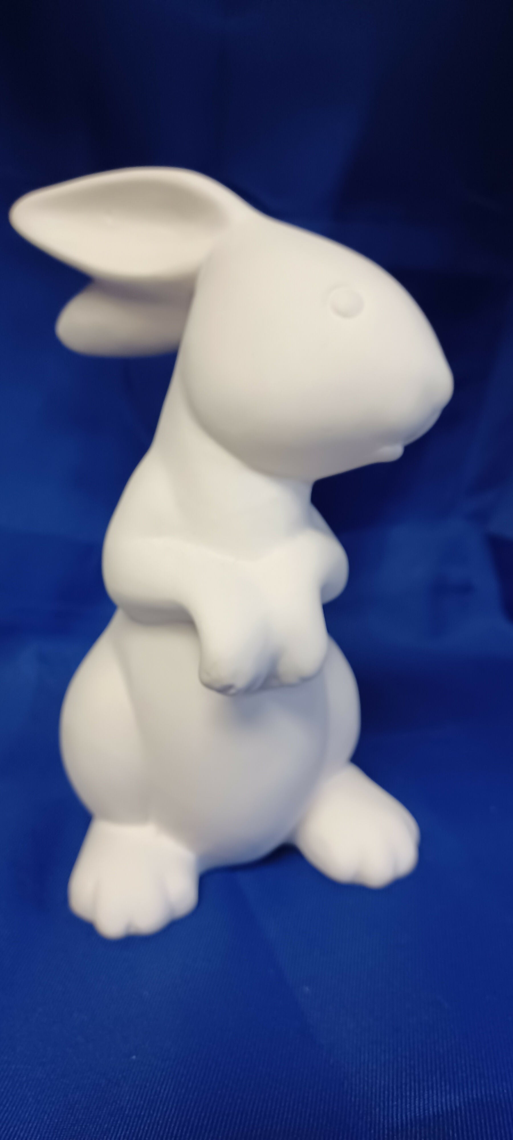 20250103_113731