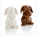 rabbit pa