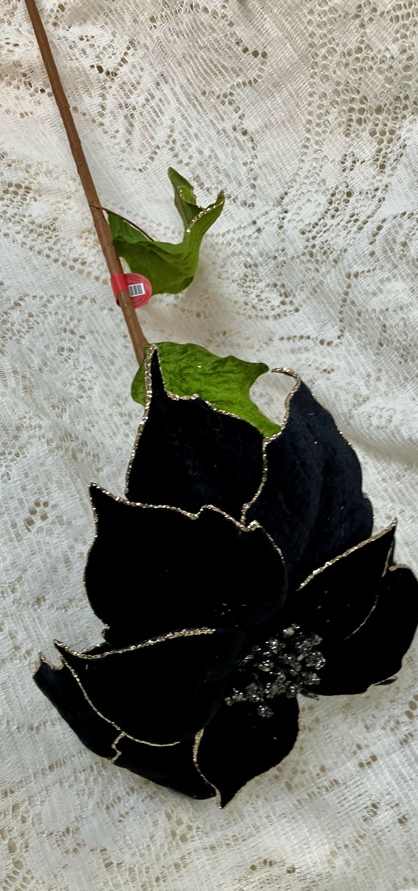 Black poinsettia stem #2383