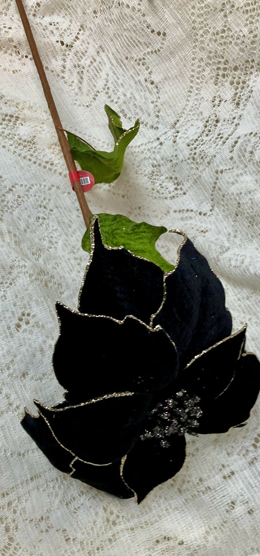 Black poinsettia stem #2383