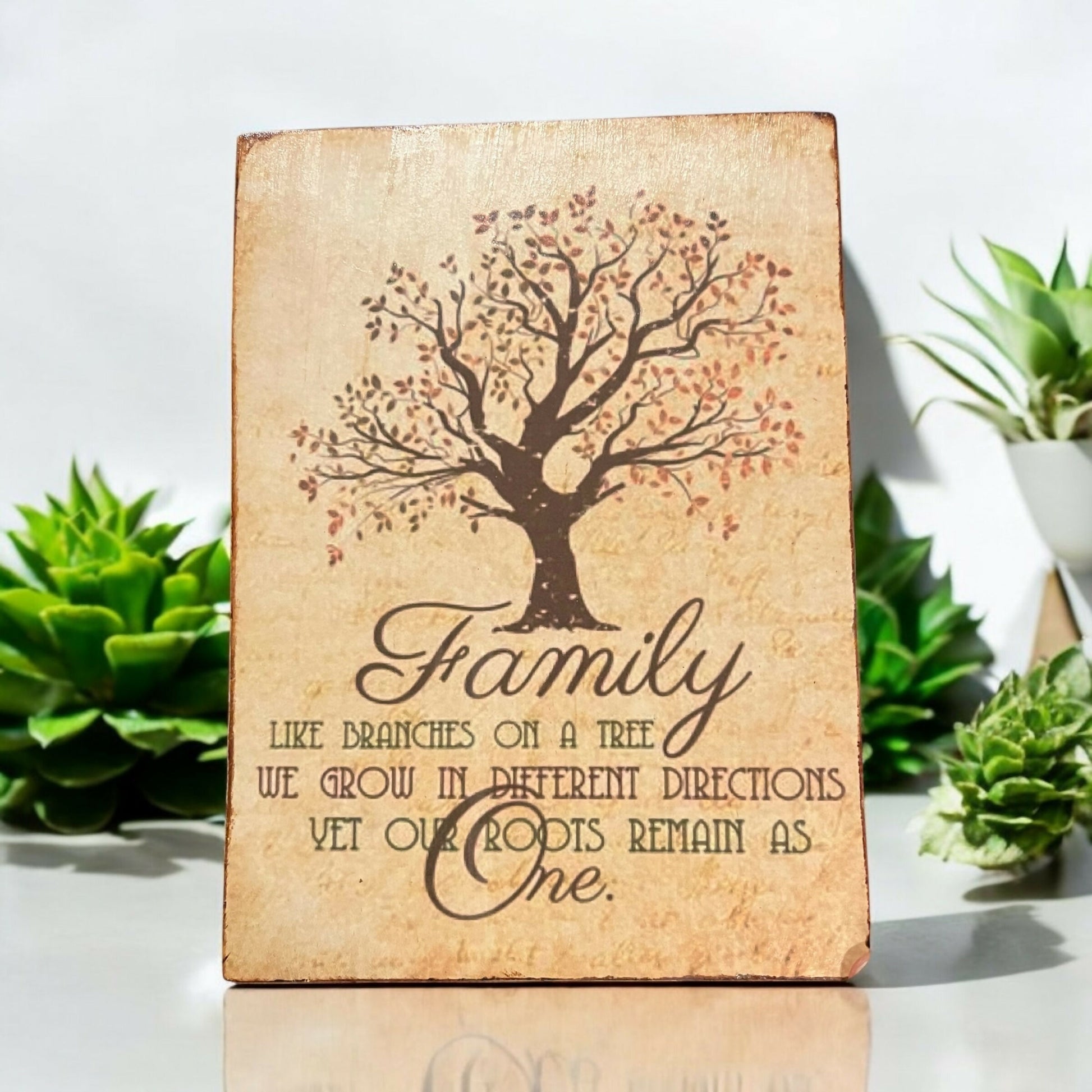 Photoroom_20250306_190855