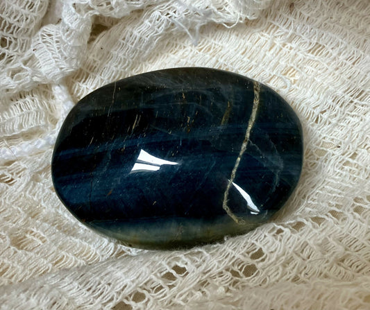 #2169 Blue tiger eye palm 82 gr