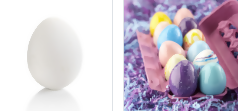 egg