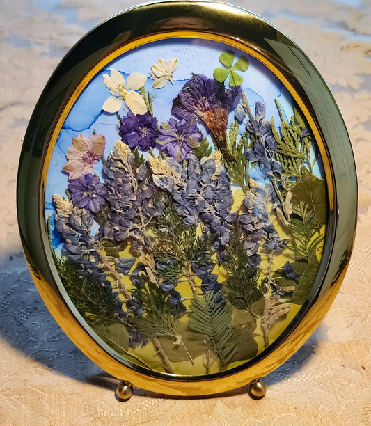 Bluebonnet