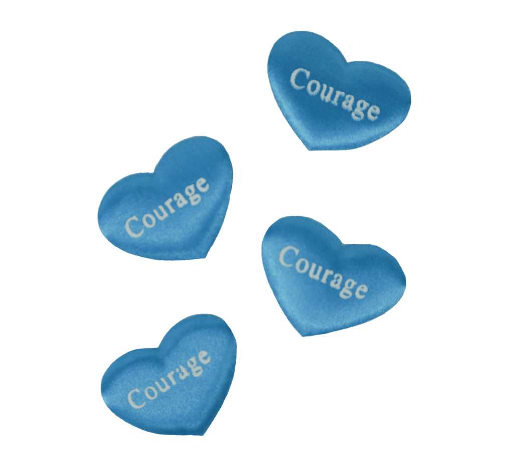 Heart Insert for Stuff a Plush