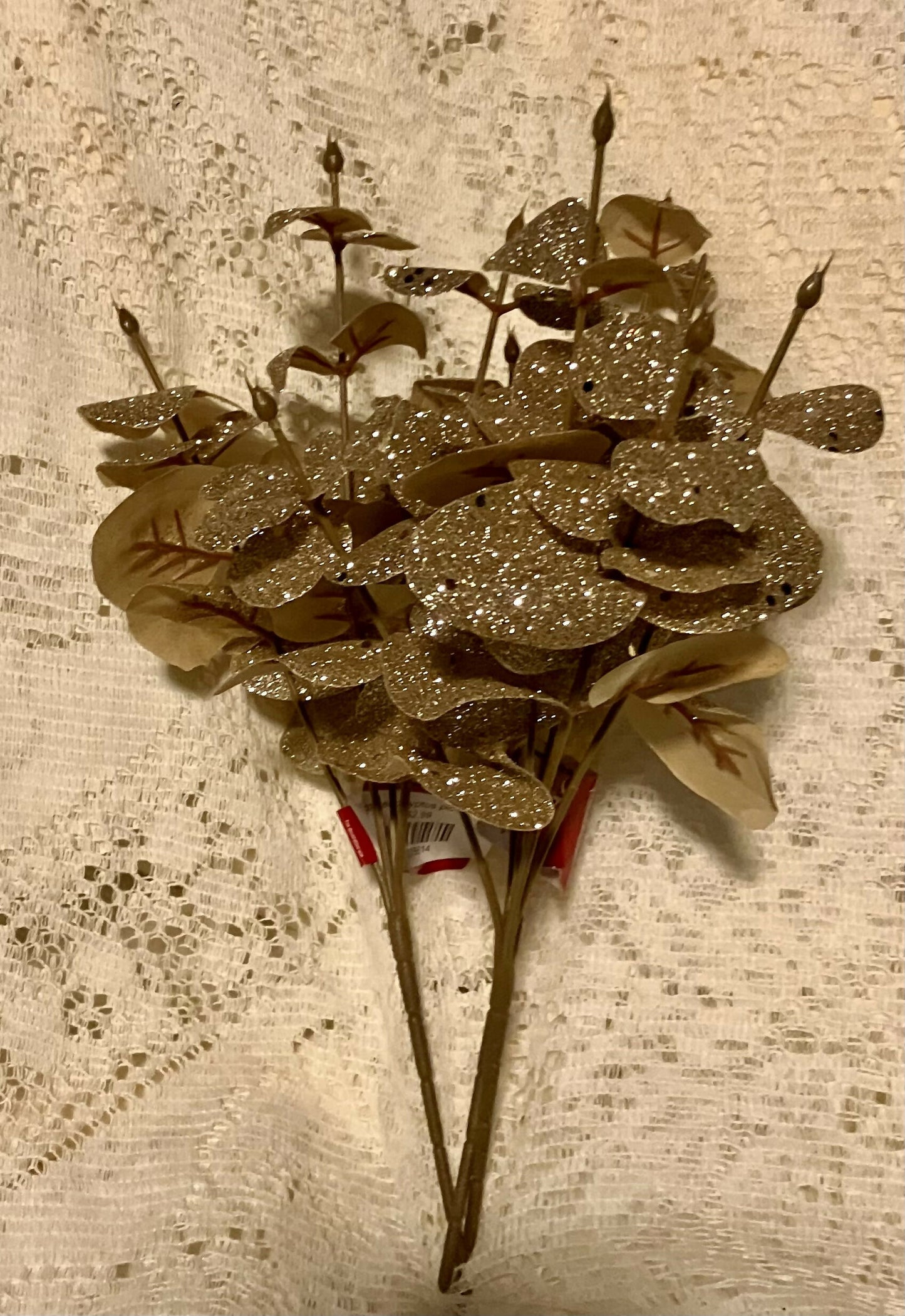 Gold eucalyptus pick #2809