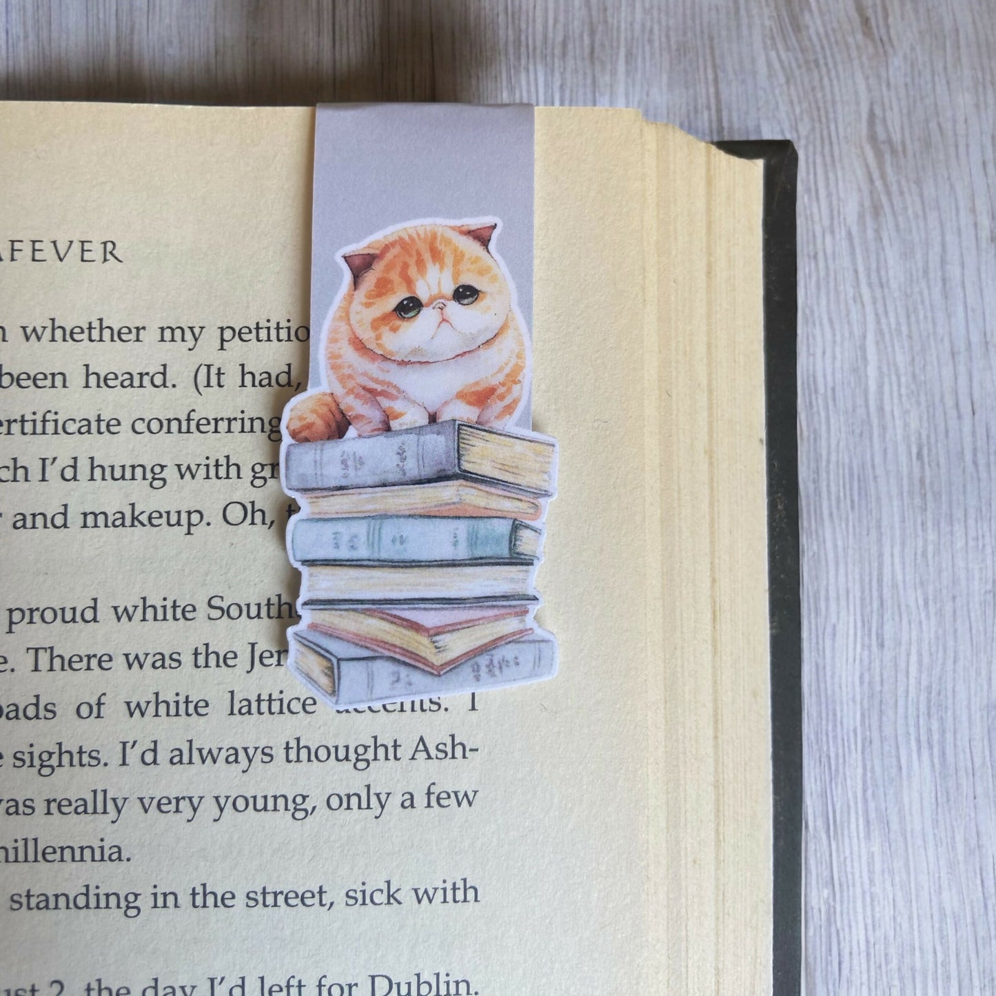 Fat Cat on Book Magnetic Bookmark