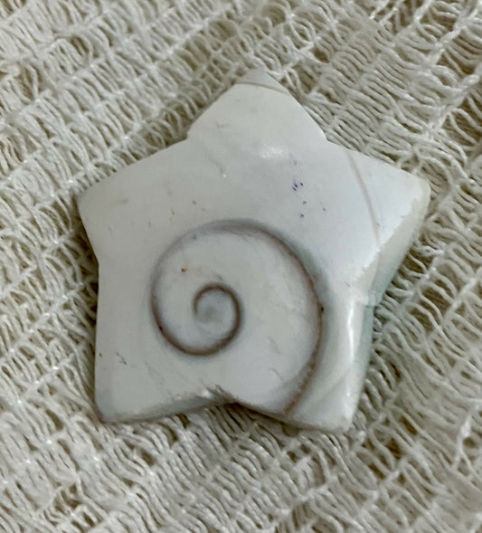 #845 Shiva shell star