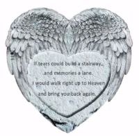 Heart/Angel wings stone