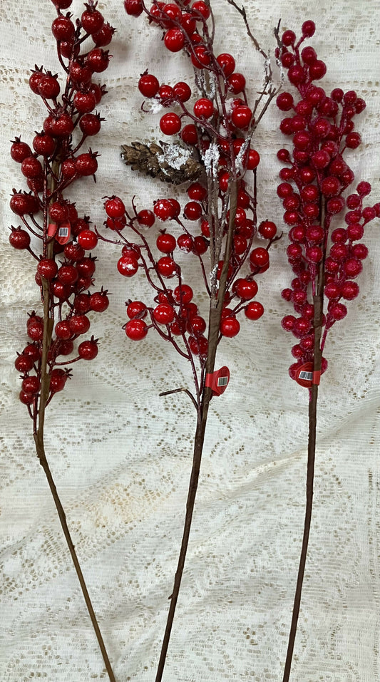 Large holly berry stem#2363