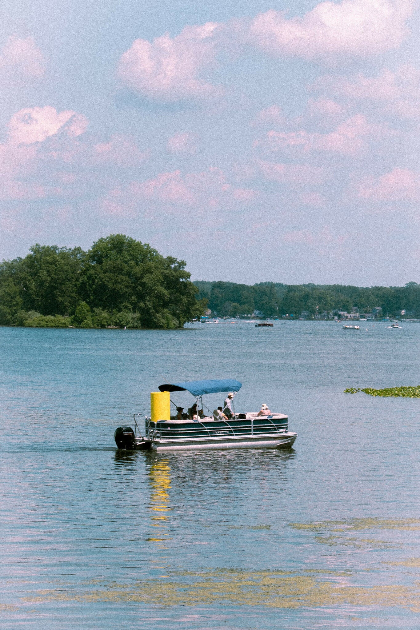 Boating Bliss