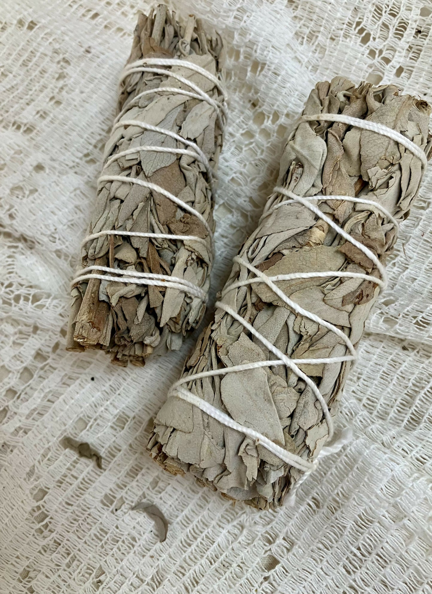 #3279 White sage