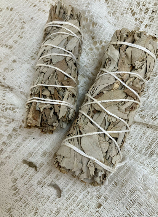 #3279 White sage