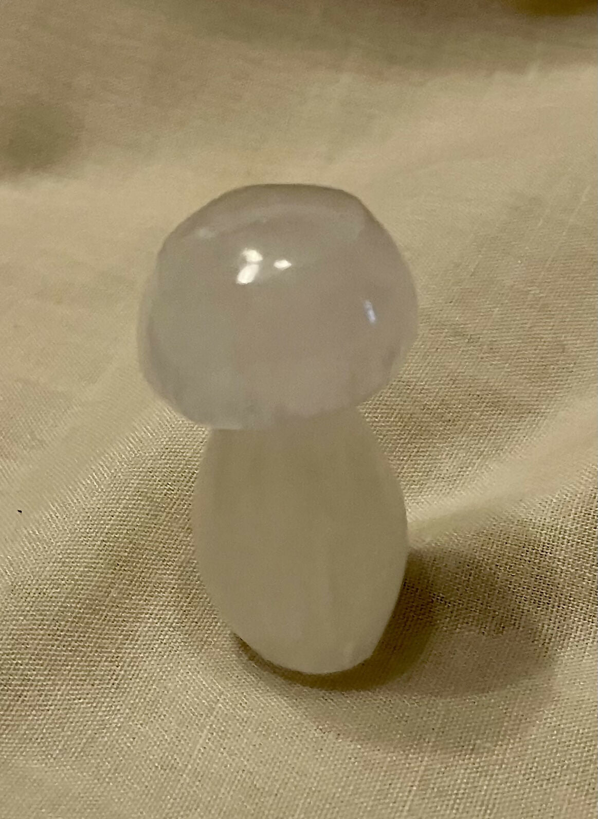 Selenite mushroom #1705