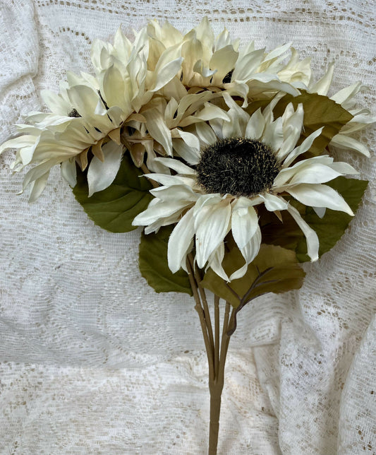 #1972 Large cream sunflowers