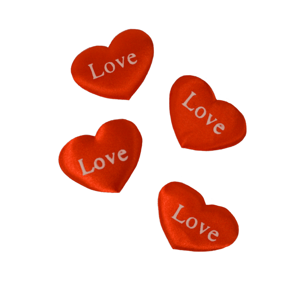 Heart Insert for Stuff a Plush