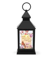 Cardinal Appear Lantern