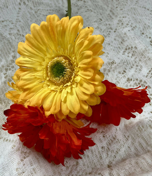 #66 Gerber daisy bunch