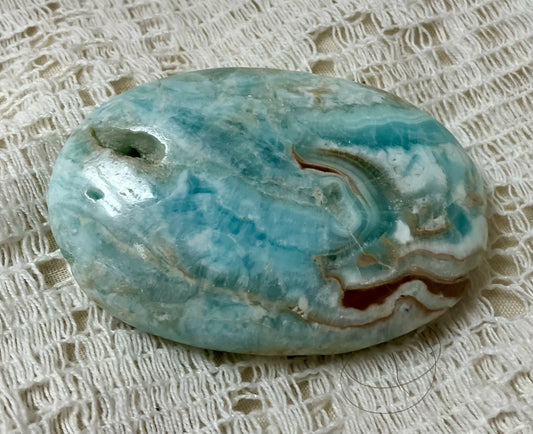 #2684 Caribbean calcite palm stone