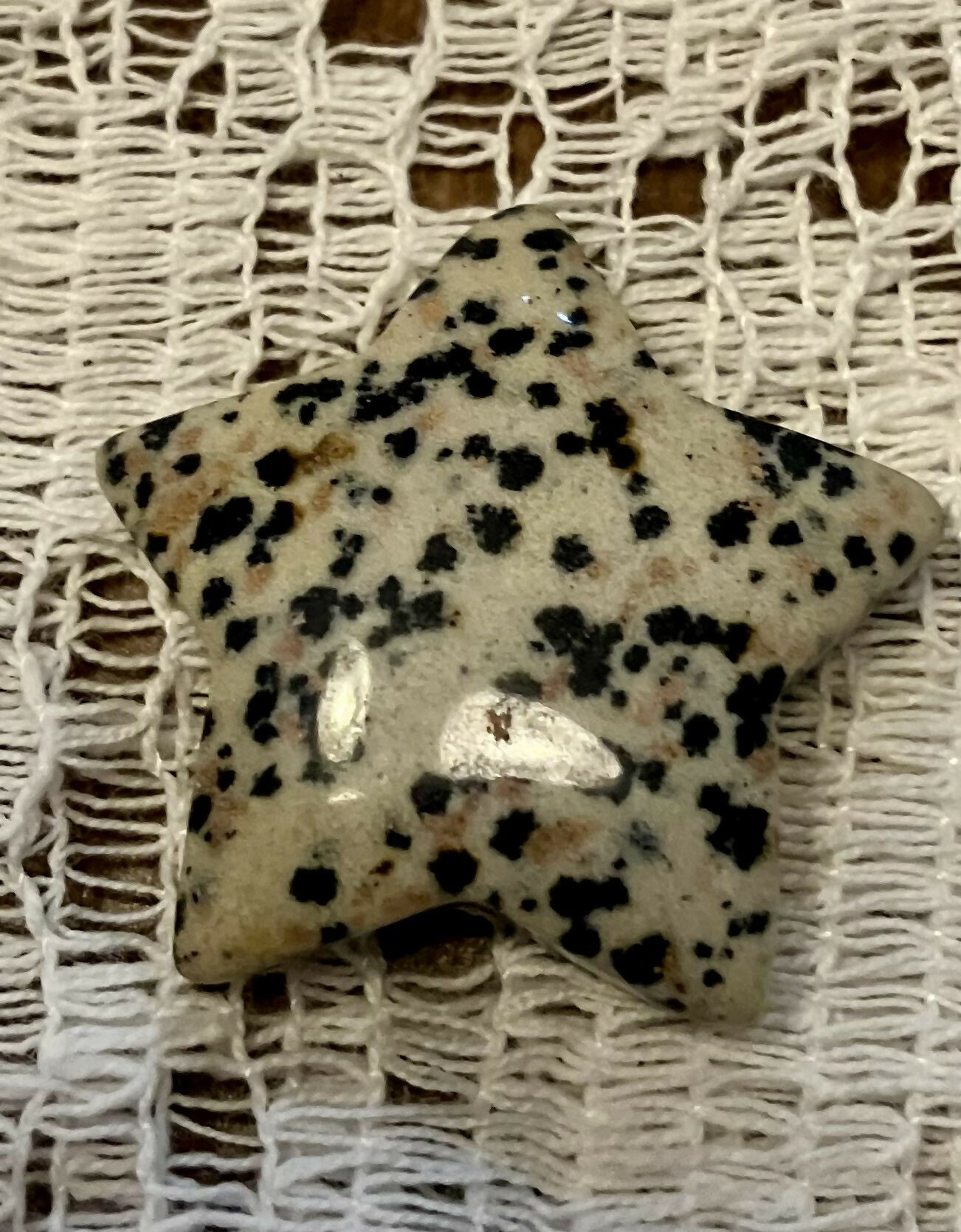 Dalmation jasper star #746