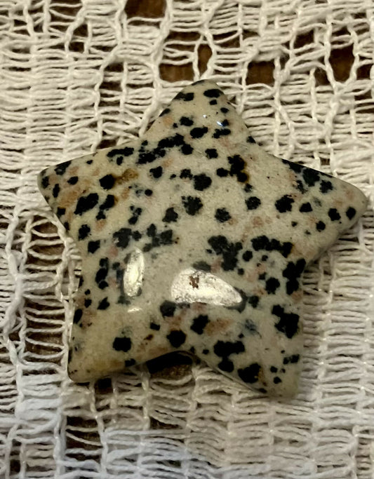 Dalmation jasper star #746