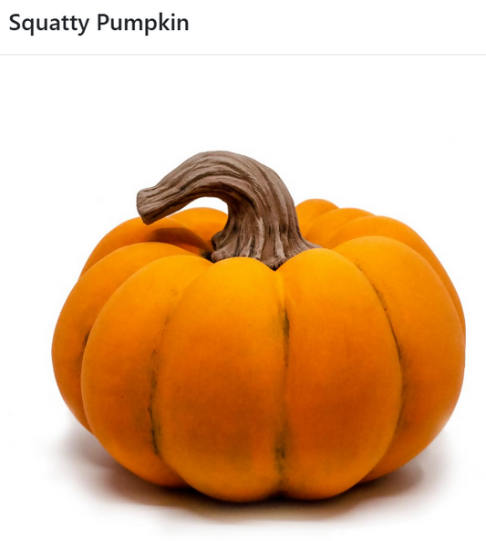 Squatty Pumpkin
